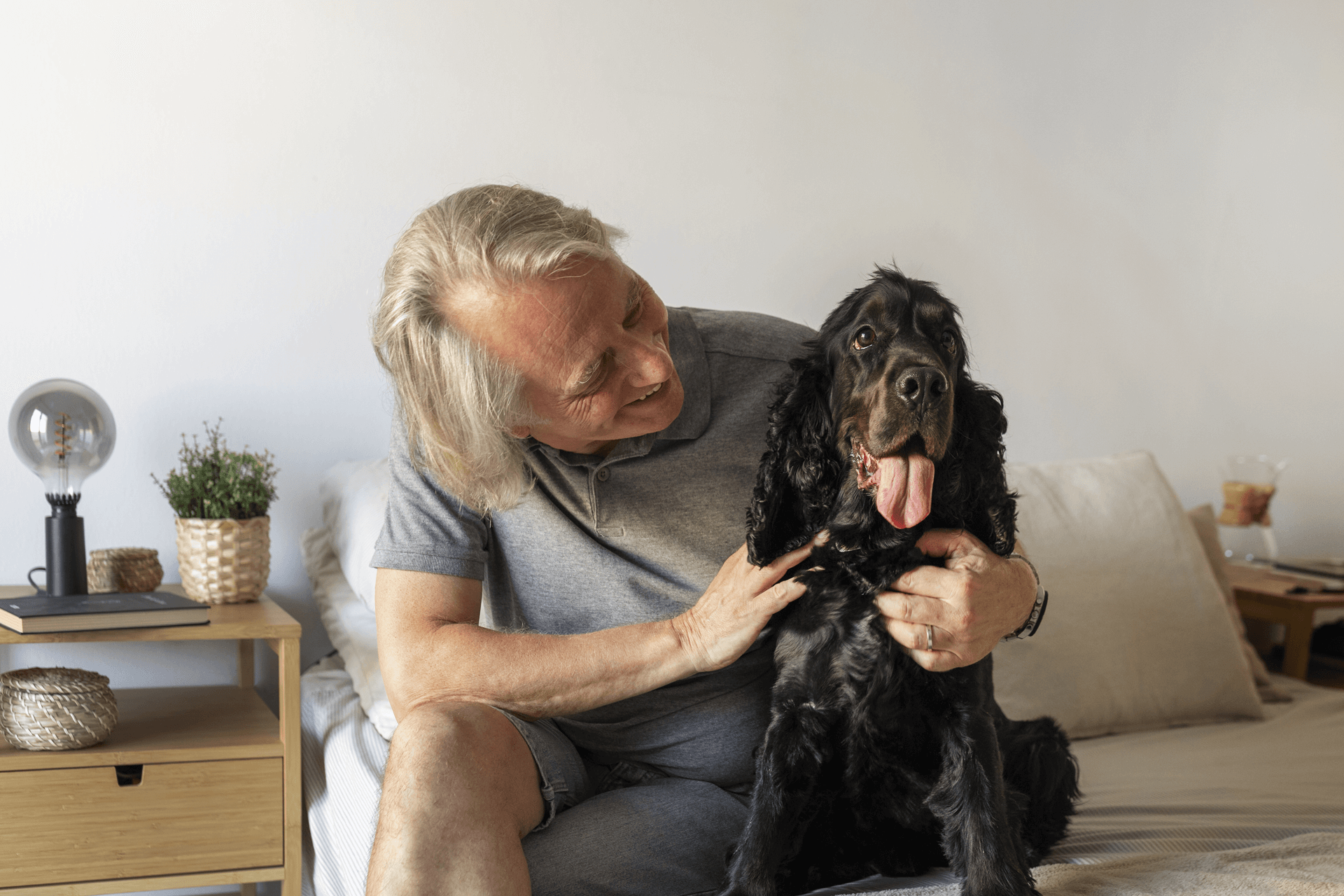 Alimentação Natural para cachorro idoso; vida mais saudável para o seu cão idoso